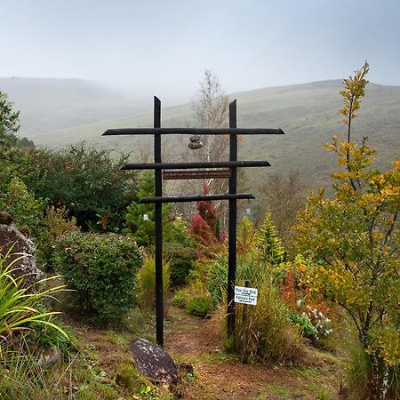 Birches Cottage & The Willows Garden Room أندربرغ المظهر الخارجي الصورة