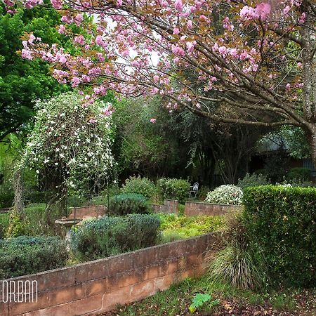 Birches Cottage & The Willows Garden Room أندربرغ المظهر الخارجي الصورة
