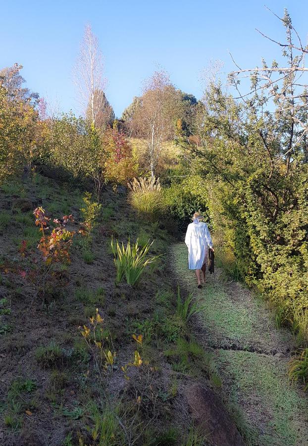 Birches Cottage & The Willows Garden Room أندربرغ المظهر الخارجي الصورة