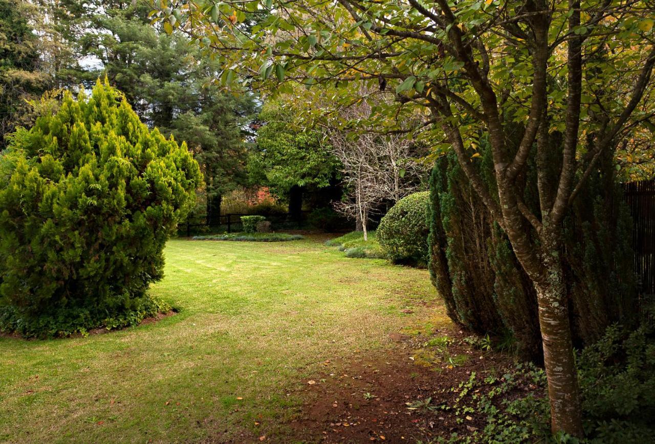 Birches Cottage & The Willows Garden Room أندربرغ المظهر الخارجي الصورة