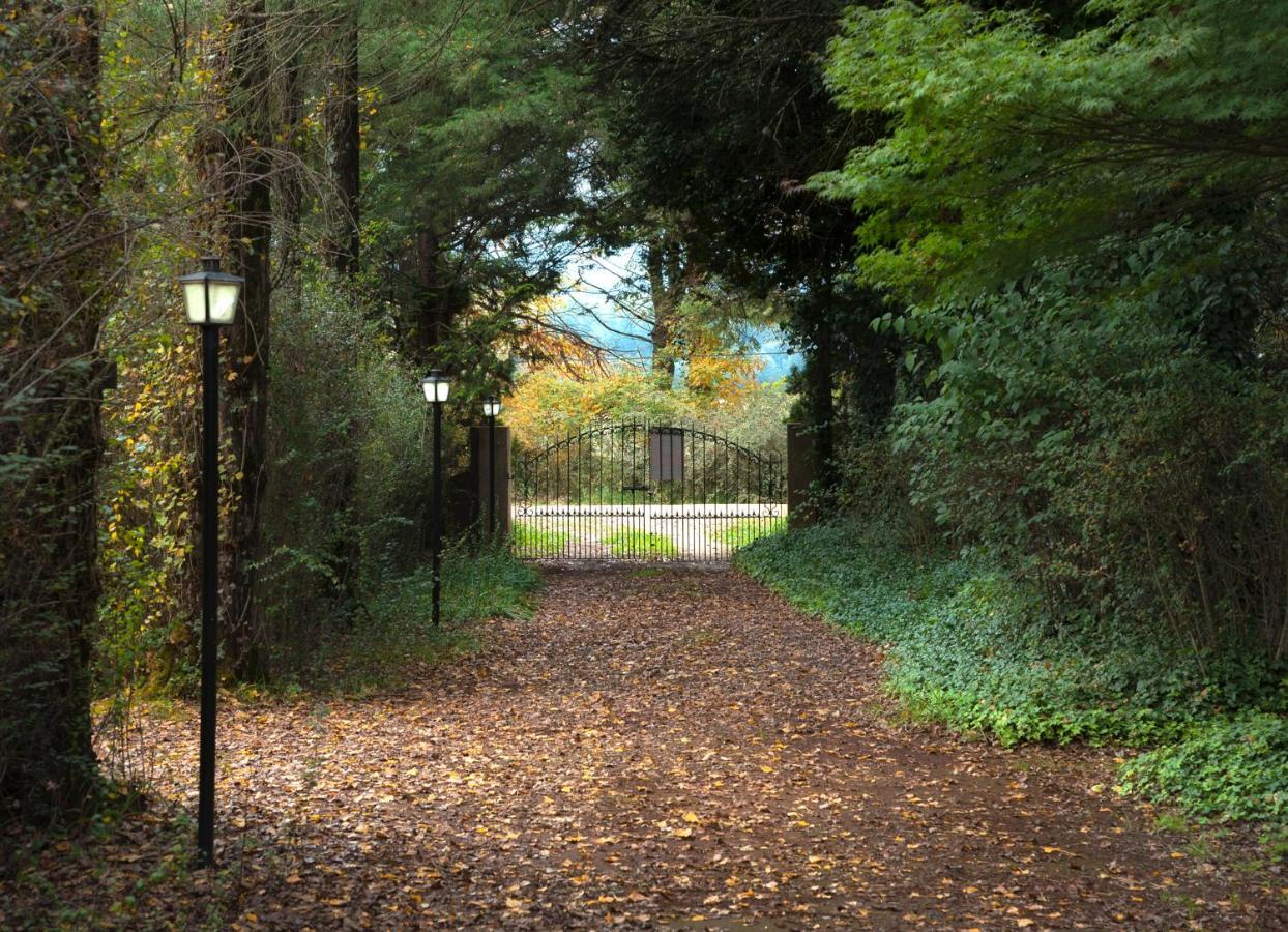 Birches Cottage & The Willows Garden Room أندربرغ المظهر الخارجي الصورة