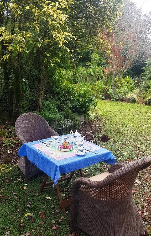 Birches Cottage & The Willows Garden Room أندربرغ المظهر الخارجي الصورة