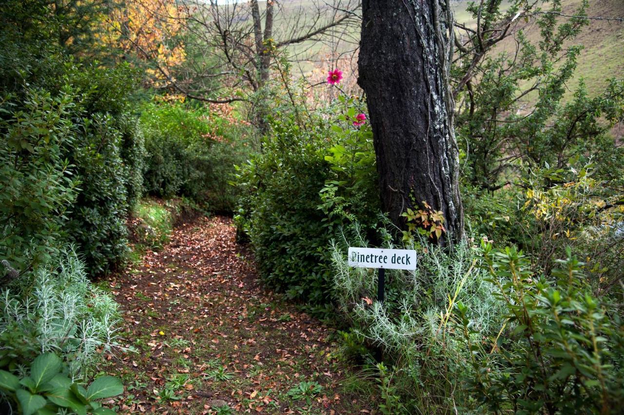 Birches Cottage & The Willows Garden Room أندربرغ المظهر الخارجي الصورة