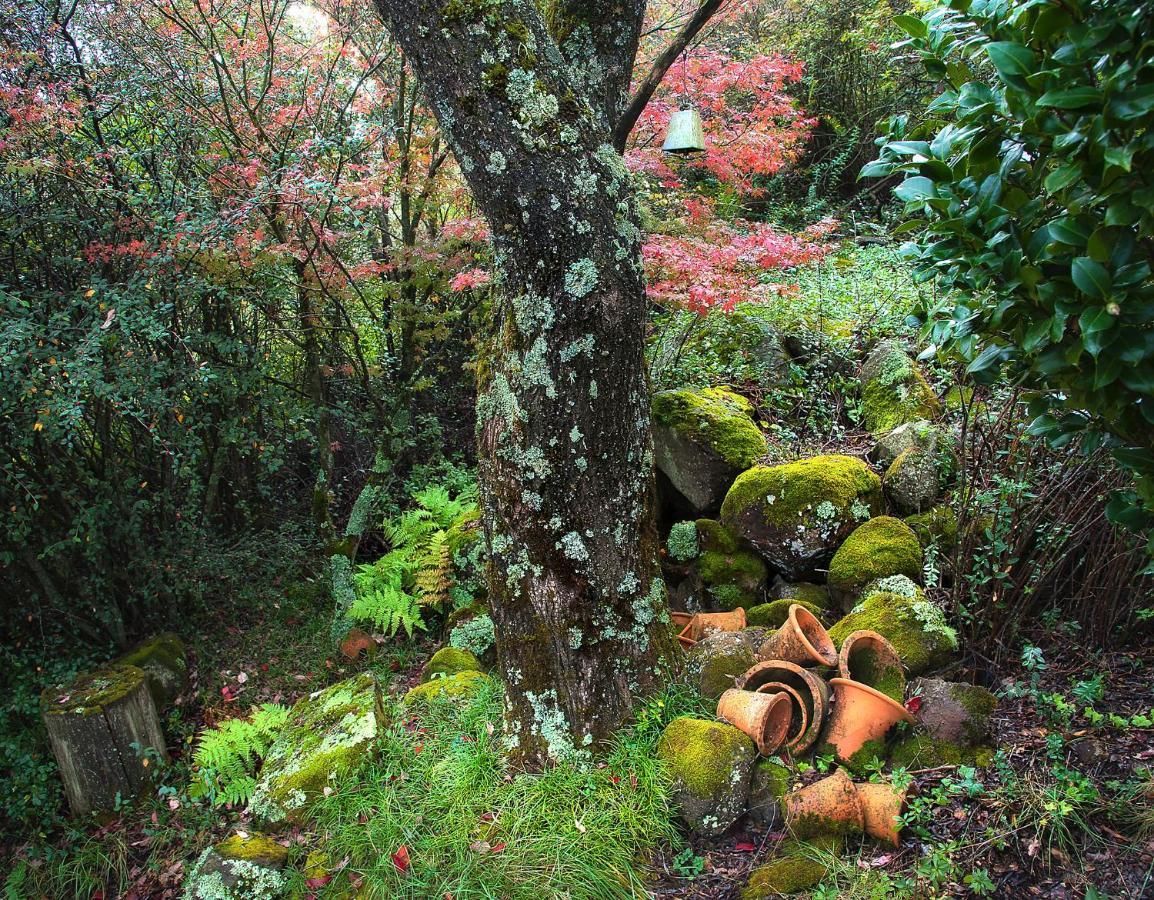 Birches Cottage & The Willows Garden Room أندربرغ المظهر الخارجي الصورة