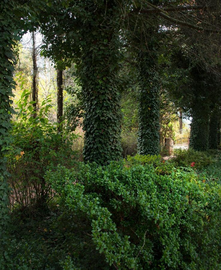 Birches Cottage & The Willows Garden Room أندربرغ المظهر الخارجي الصورة