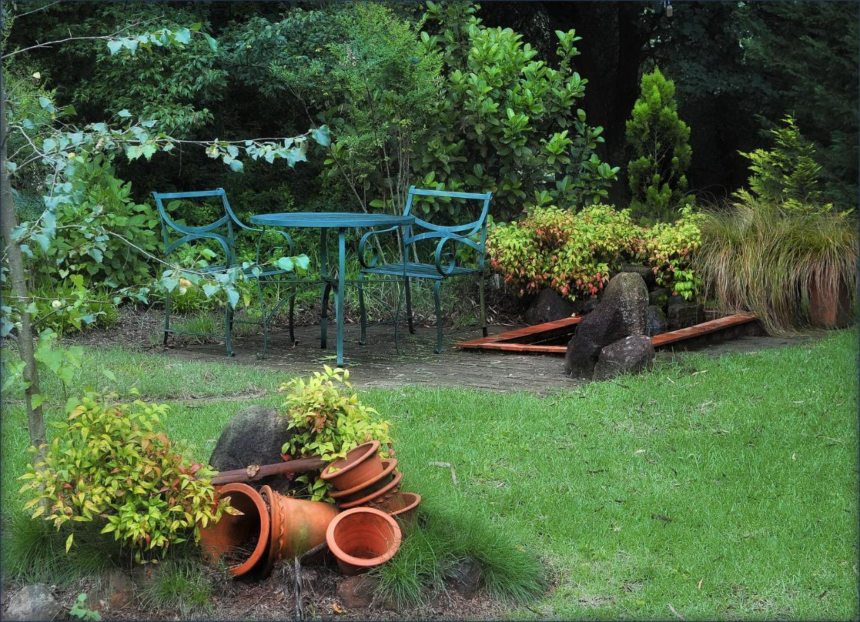 Birches Cottage & The Willows Garden Room أندربرغ المظهر الخارجي الصورة