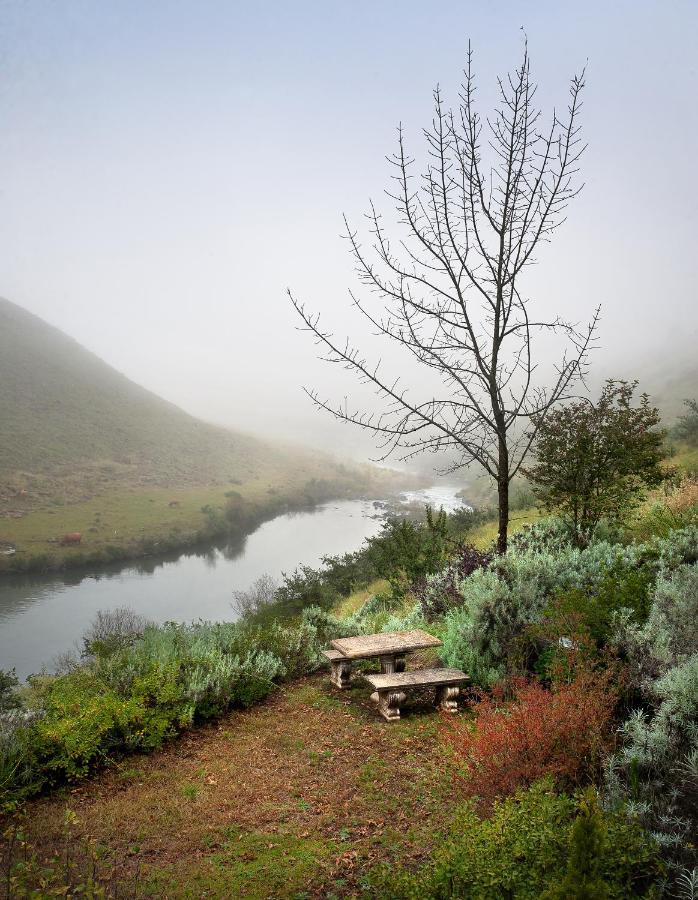 Birches Cottage & The Willows Garden Room أندربرغ المظهر الخارجي الصورة