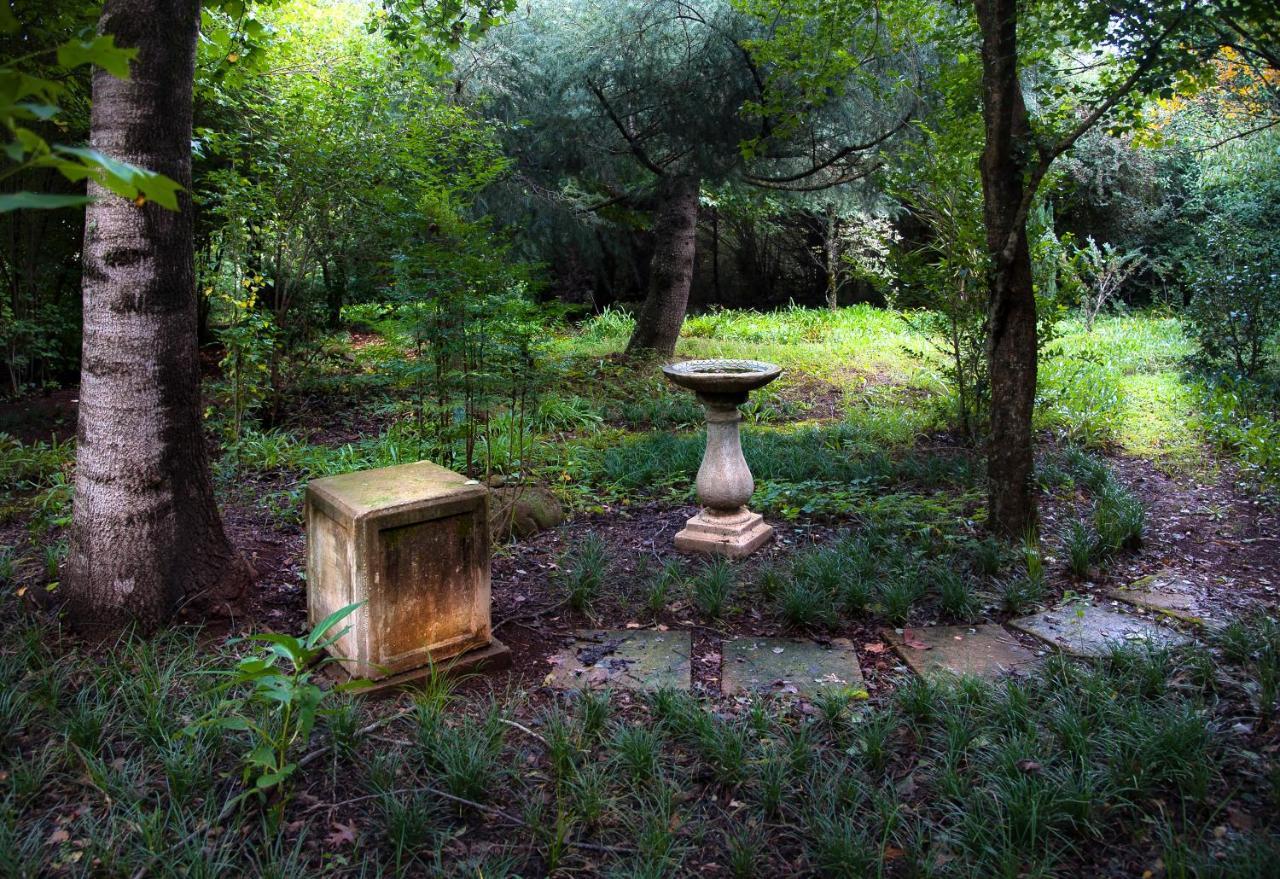 Birches Cottage & The Willows Garden Room أندربرغ المظهر الخارجي الصورة