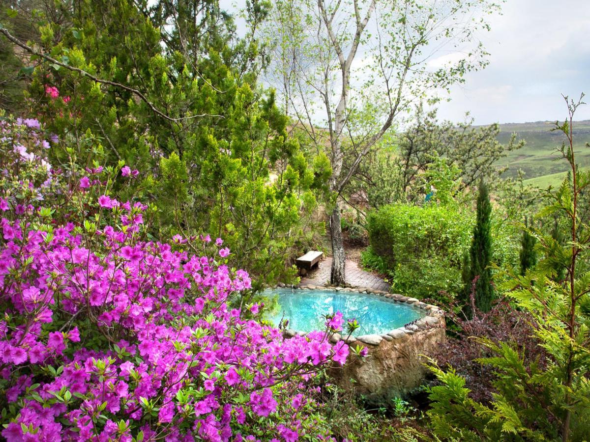 Birches Cottage & The Willows Garden Room أندربرغ المظهر الخارجي الصورة