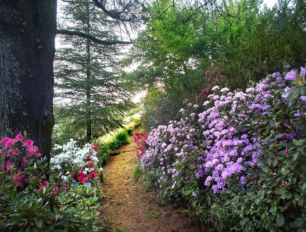 Birches Cottage & The Willows Garden Room أندربرغ المظهر الخارجي الصورة
