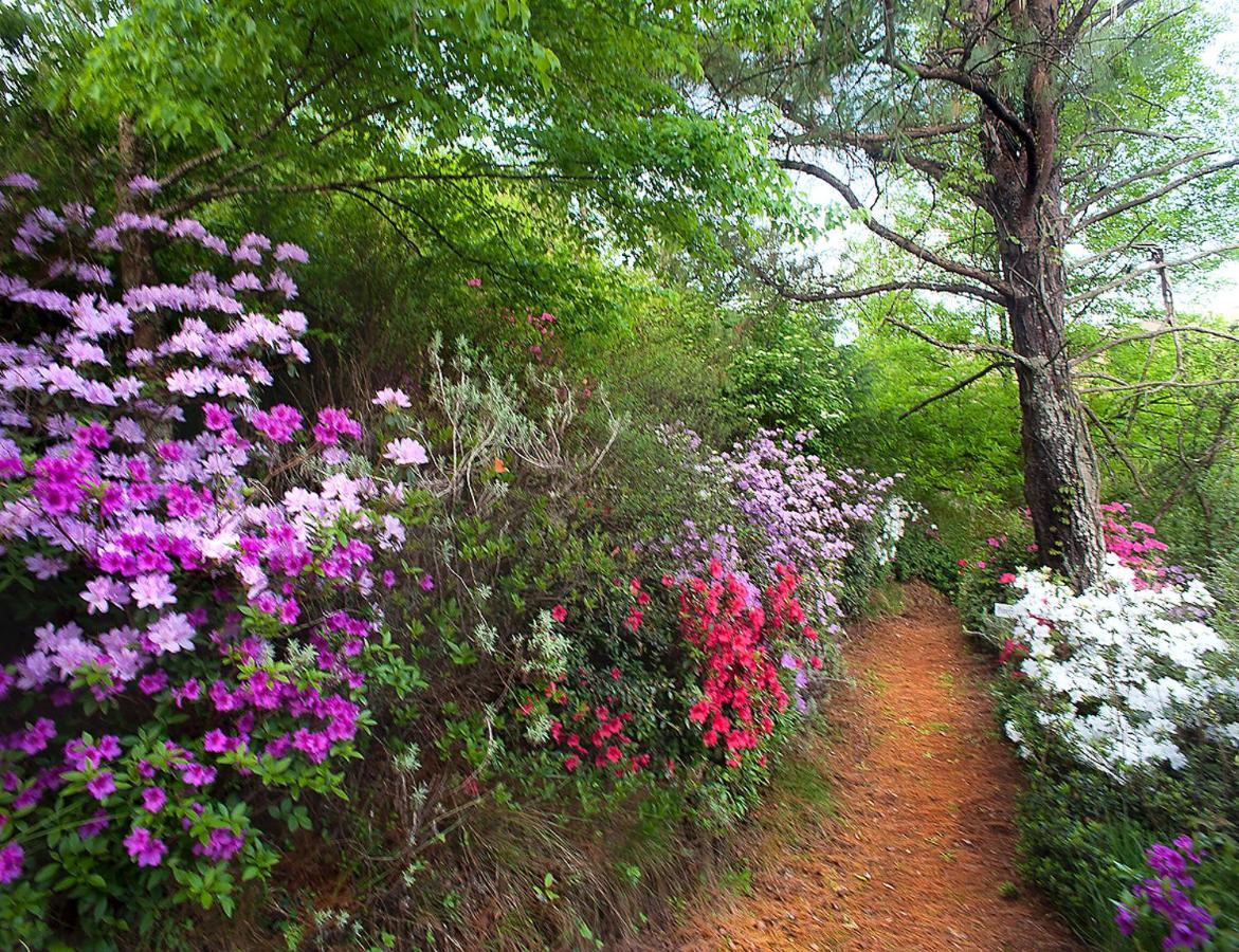 Birches Cottage & The Willows Garden Room أندربرغ المظهر الخارجي الصورة