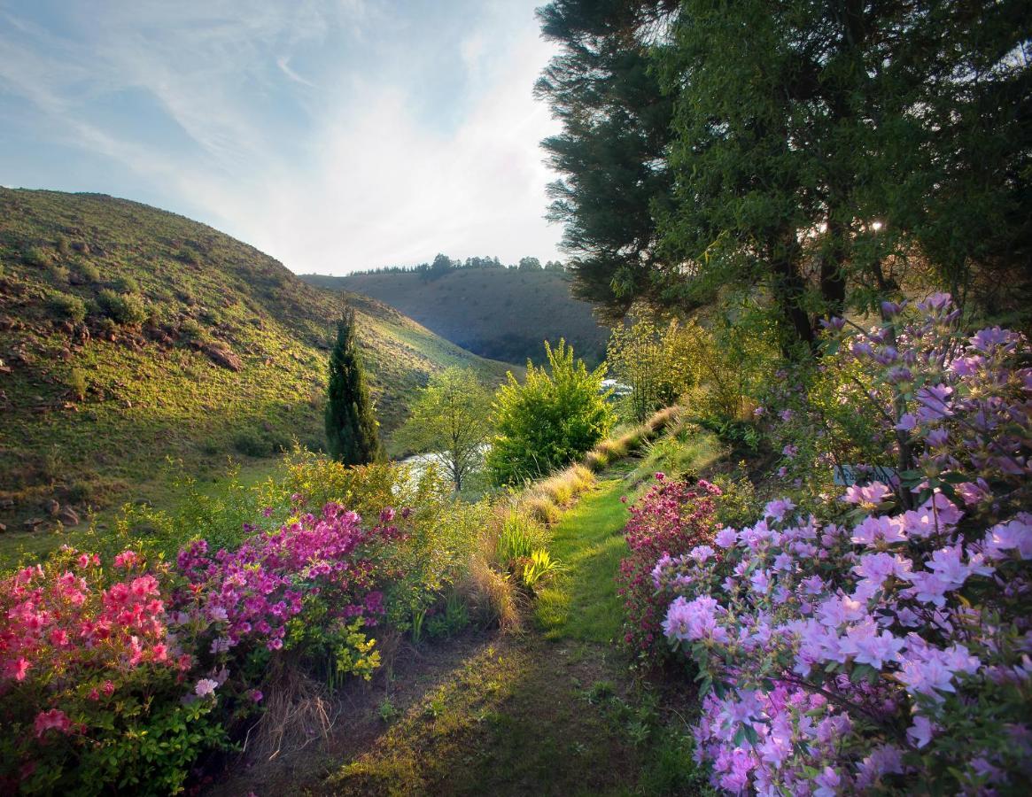 Birches Cottage & The Willows Garden Room أندربرغ المظهر الخارجي الصورة