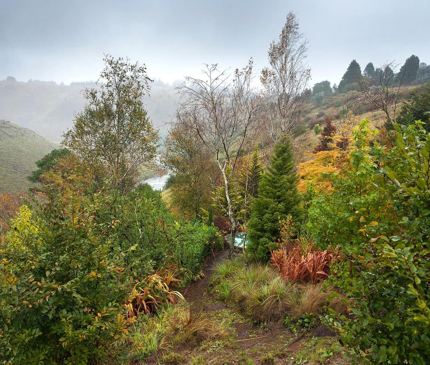 Birches Cottage & The Willows Garden Room أندربرغ المظهر الخارجي الصورة