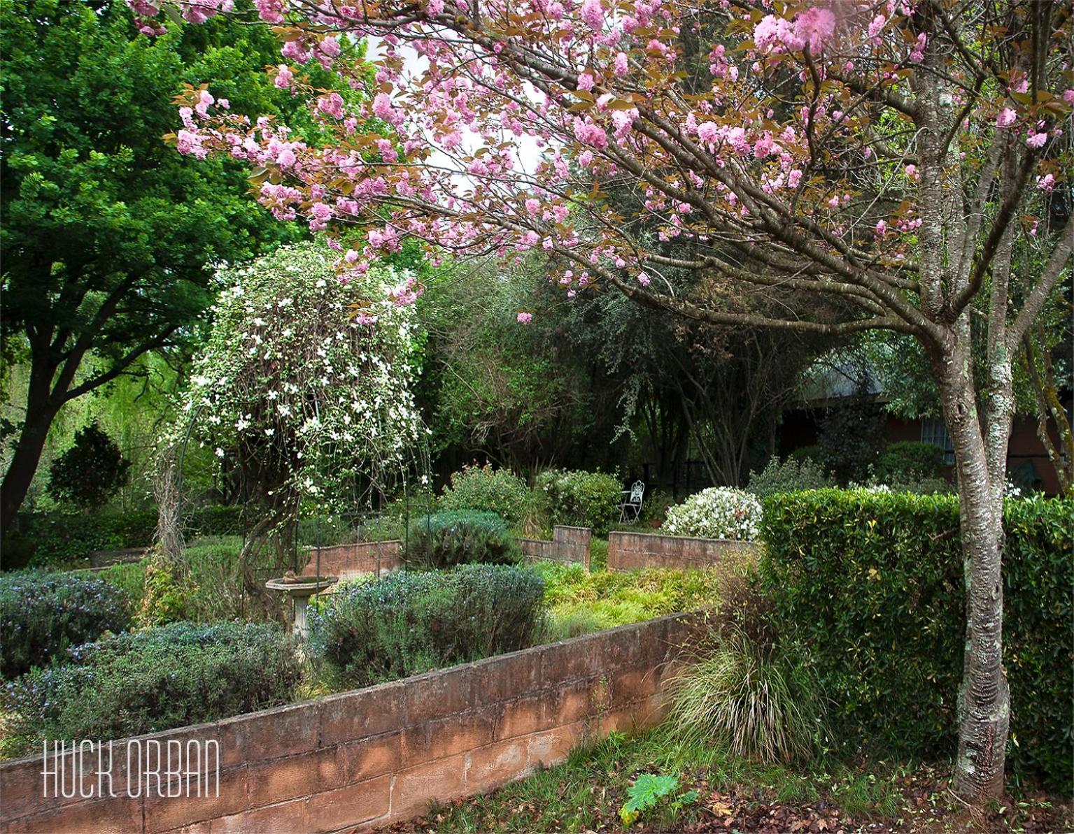 Birches Cottage & The Willows Garden Room أندربرغ المظهر الخارجي الصورة