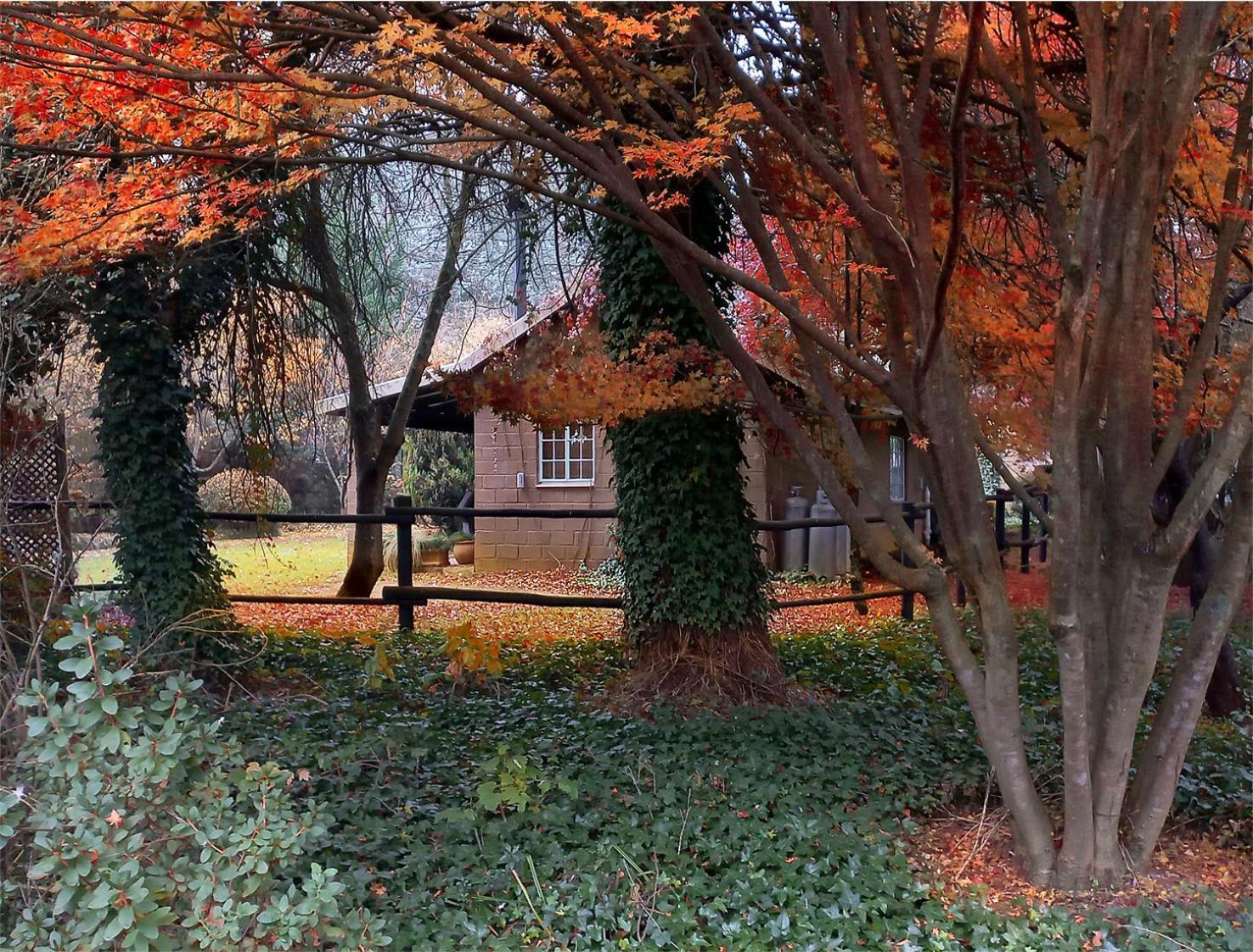 Birches Cottage & The Willows Garden Room أندربرغ المظهر الخارجي الصورة