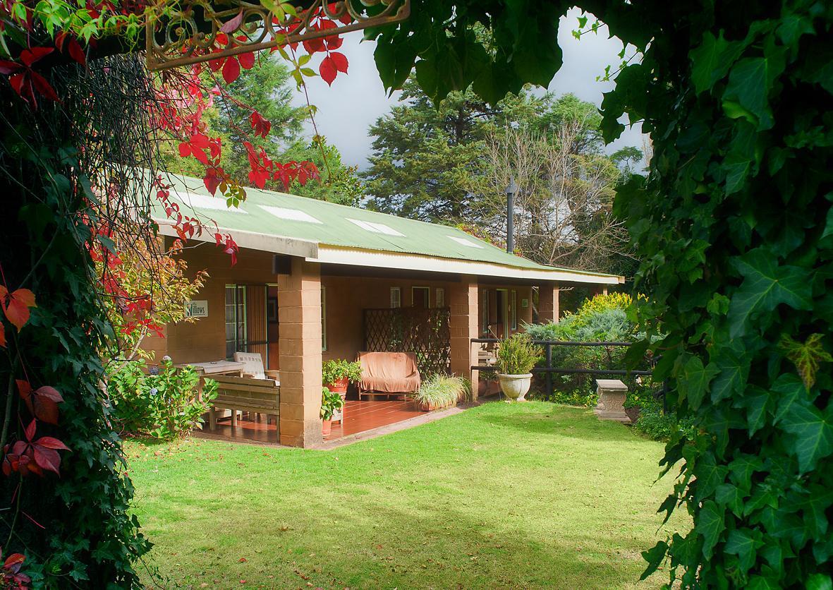 Birches Cottage & The Willows Garden Room أندربرغ المظهر الخارجي الصورة