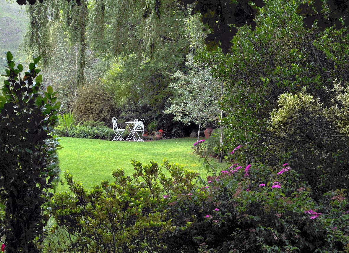 Birches Cottage & The Willows Garden Room أندربرغ المظهر الخارجي الصورة