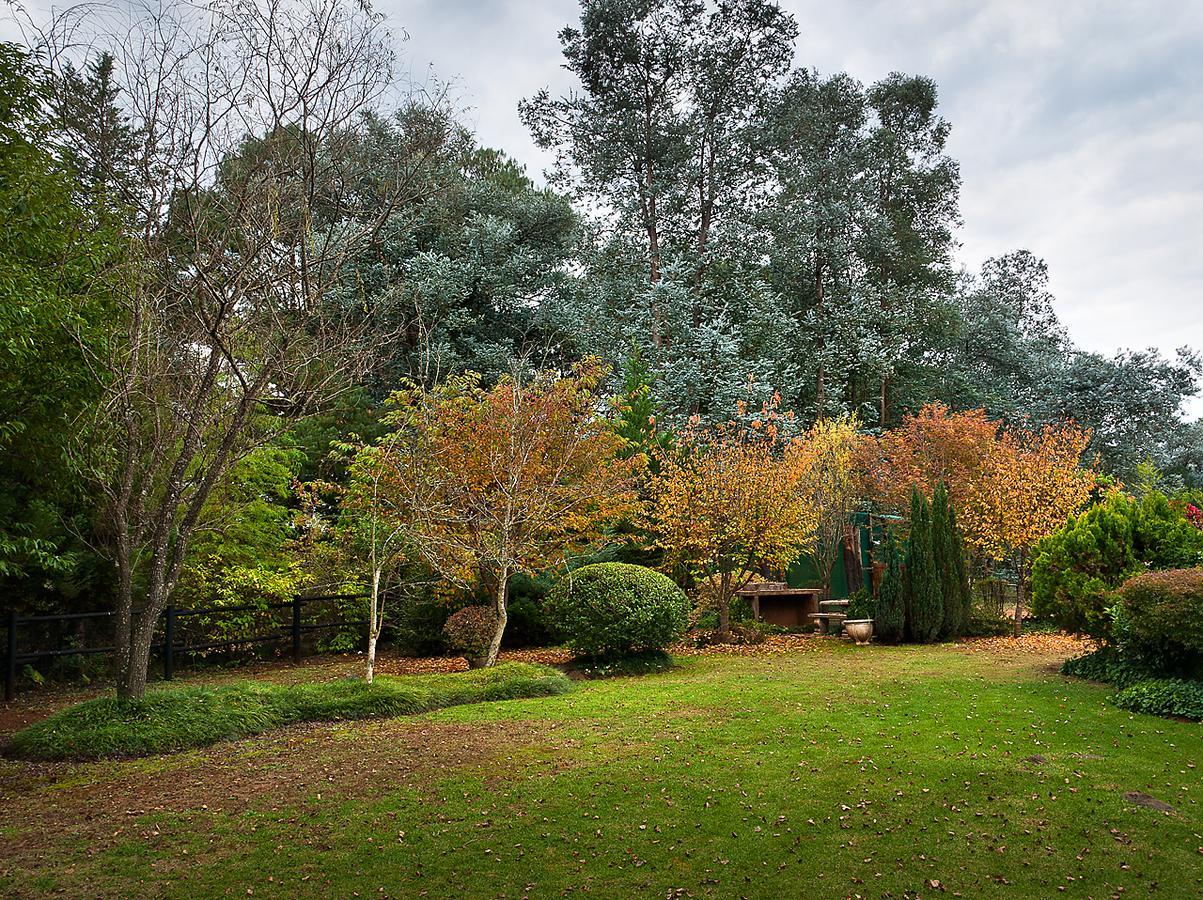 Birches Cottage & The Willows Garden Room أندربرغ المظهر الخارجي الصورة