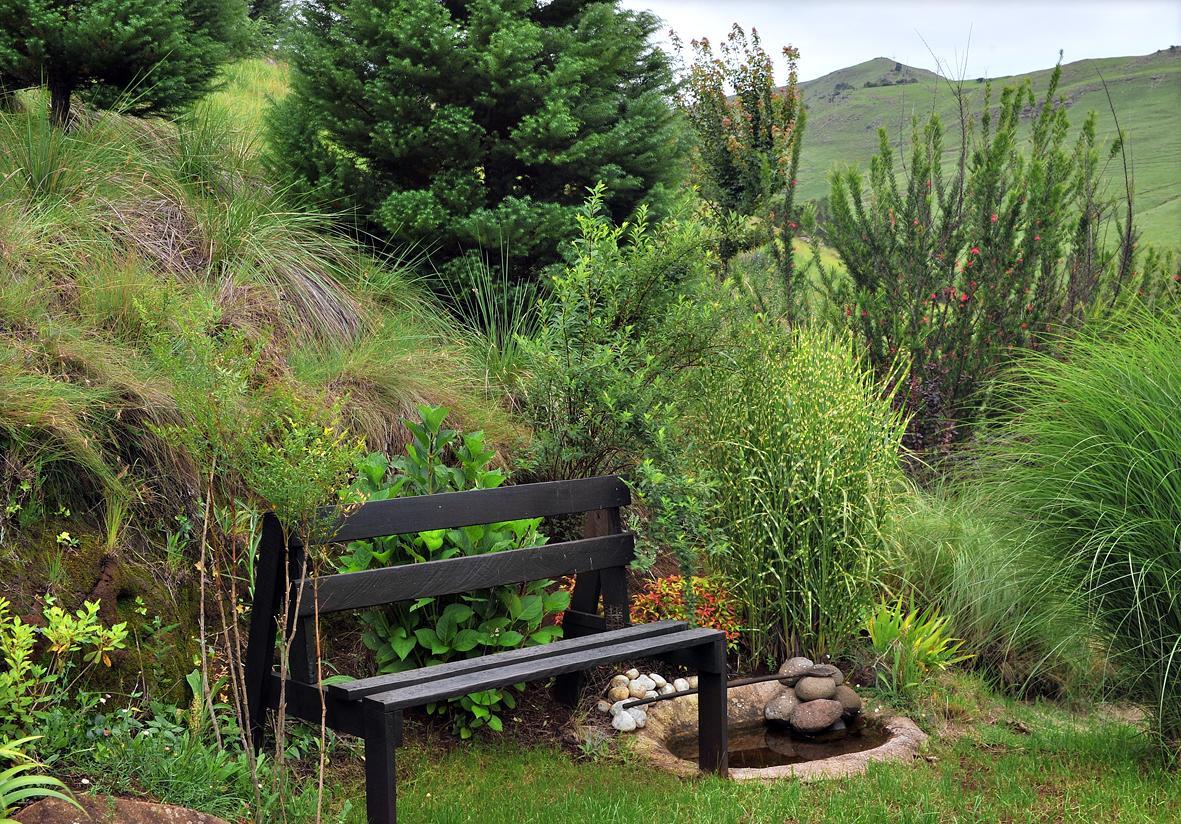 Birches Cottage & The Willows Garden Room أندربرغ المظهر الخارجي الصورة