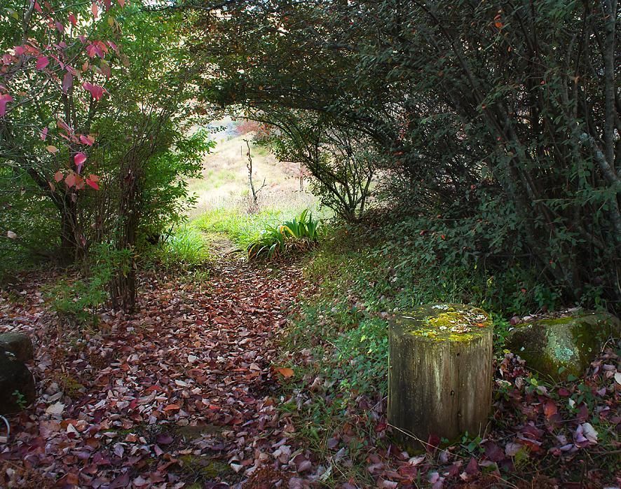 Birches Cottage & The Willows Garden Room أندربرغ المظهر الخارجي الصورة
