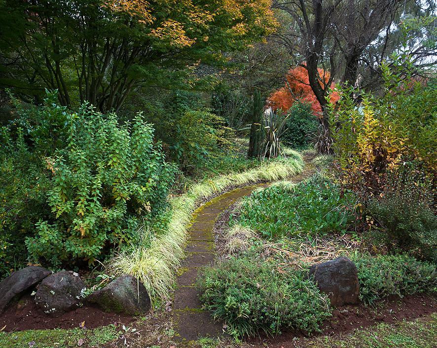 Birches Cottage & The Willows Garden Room أندربرغ المظهر الخارجي الصورة