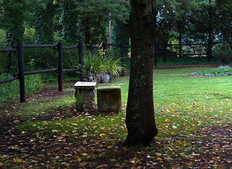 Birches Cottage & The Willows Garden Room أندربرغ المظهر الخارجي الصورة