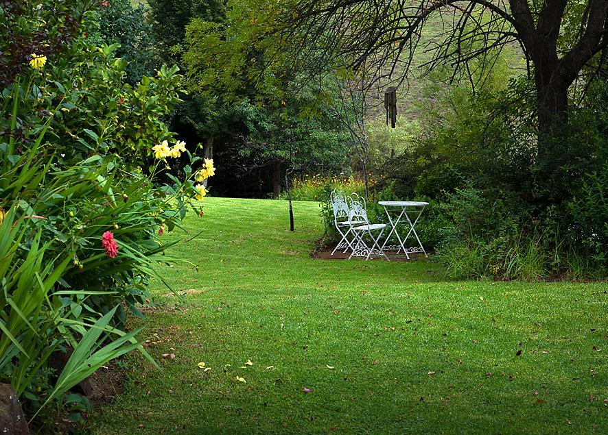 Birches Cottage & The Willows Garden Room أندربرغ المظهر الخارجي الصورة