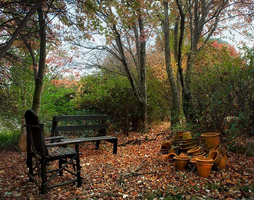 Birches Cottage & The Willows Garden Room أندربرغ المظهر الخارجي الصورة