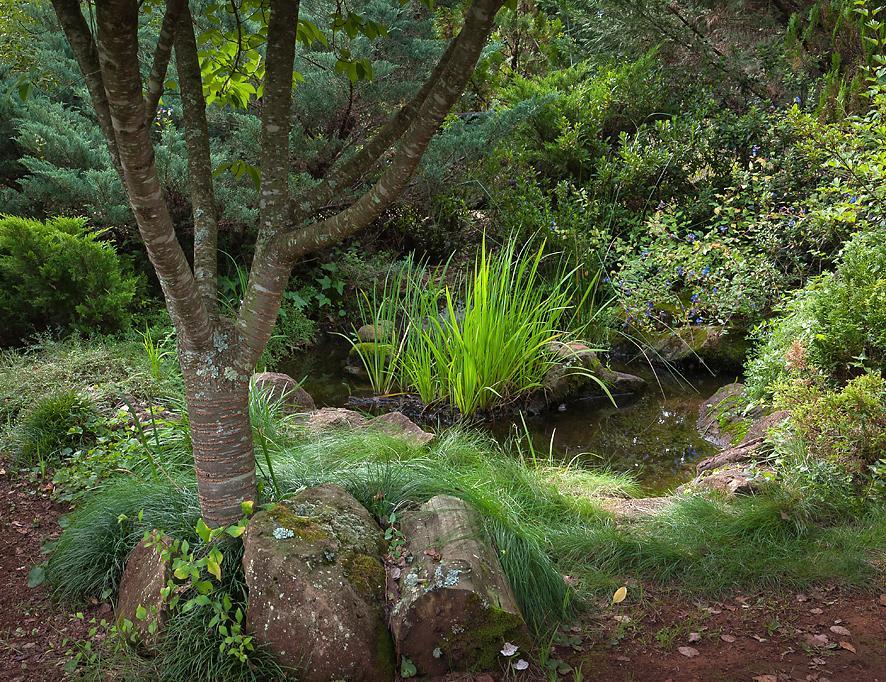 Birches Cottage & The Willows Garden Room أندربرغ المظهر الخارجي الصورة
