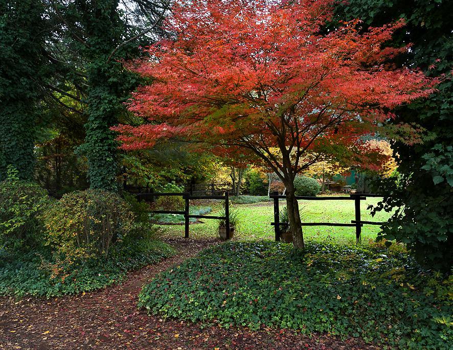 Birches Cottage & The Willows Garden Room أندربرغ المظهر الخارجي الصورة