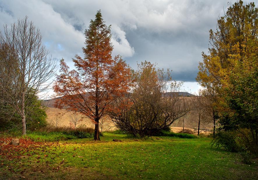 Birches Cottage & The Willows Garden Room أندربرغ المظهر الخارجي الصورة
